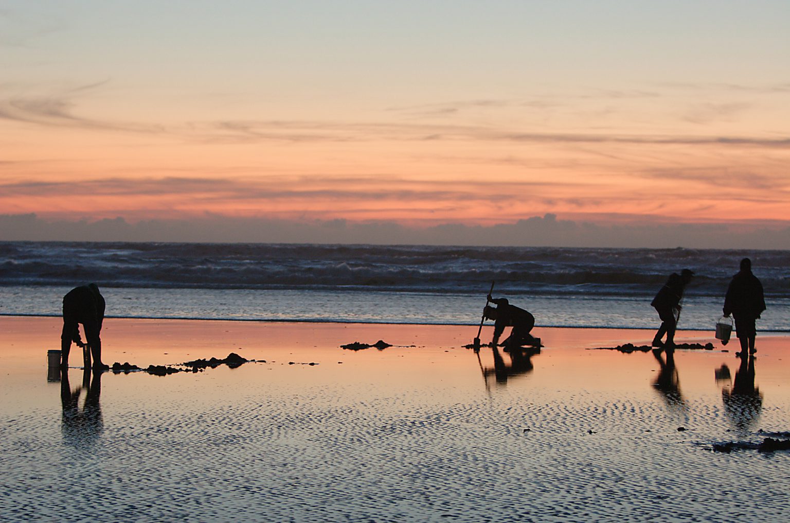 Digging for Clams on the Central Oregon Coast The Fireside Motel